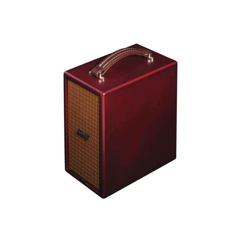Phil Jones CUB AG-100 BROWN Airpulse combo akust.